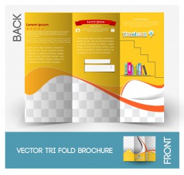 brochure template