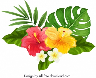natural hibiscus plumeria flowers icon multicolored sketch